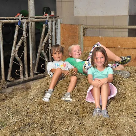 Apartmán Ehstandhof *